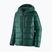 Piumino Patagonia da uomo Fitz Roy Down Hoody verde cascata