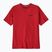Patagonia P-6 Logo Responsabili-Tee da uomo rosso amanita