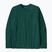 Patagonia P-6 Logo Responsibili Uomo manica lunga verde cascata