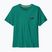 Maglietta da uomo Patagonia '73 Skyline gem green