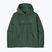 Felpa da uomo Patagonia P-6 Logo Uprisal Hoody p-6 outline: canopy green