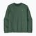Felpa da uomo Patagonia Fitz Roy Massif Daily Crew Canopy Green