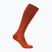 Calze da sci uomo Icebreaker Merino Ski+ Medium OTC fervid/agate/java