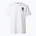 Maglietta da trekking da uomo The North Face Mountain Celebration Regular tnf white
