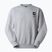 Felpa The North Face Celebration Relaxed Crew Graphic tnf light grey heather