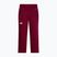 Pantaloni da sci da donna The North Face Lenado burgundy crush