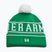 Berretto invernale da uomo Under Armour Halftime Pom Beanie team kelly green/white/white
