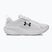 Scarpe da corsa uomo Under Armour Assert 11 white/black/distant gray