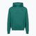 Felpa uomo Under Armour Rival LW Hoodie rack green/black