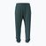 Pantaloni da uomo Under Armour Rival LW Graphic Jogger rack green/black