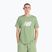 Maglietta da uomo New Balance Graphic V Flying oregano