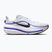Scarpe da corsa uomo Nike Winflo 12 off white/white/wolf grey/black