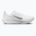 Scarpe da running da donna Nike Pegasus 42 white/wolf grey/metallic silver