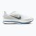 Scarpe da corsa uomo Nike Pegasus Premium white/hydrogen blue/aluminum/grey fog