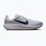 Scarpe da corsa uomo Nike Quest 7 pure platinum/white/wolf grey/black