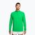 Felpa da corsa uomo Nike Stride 1/4 Zip Dri-Fit green spark