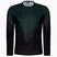 Maglia ASSOS Trail Uomo T3 schwarzwald/verde manica lunga ciclismo