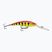 Rapala Deep Tail Dancer hot tiger wobbler