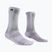 Calzettoni Venum Vector Over-the-Calf white/grey