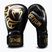 Guantoni da boxe Venum Giant 2.0 Mike Tyson Pro Boxing black/gold