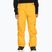 Quiksilver Estate Pantaloni da snowboard per bambini Gioventù giallo minerale