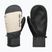 Guanti da snowboard da uomo DC Franchise Mitt 10K oatmeal