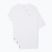 Maglietta Lacoste uomo TH9008 3 pezzi bianco