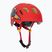 Casco da bici per bambini Alpina Ximo 2 Jr disney cars