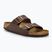 BIRKENSTOCK Arizona BF Narrow infradito marrone scuro