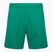 Capelli Sport Cs One Adult Match verde/bianco pantaloncini da calcio per bambini