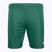 Capelli Sport Cs One Youth Match verde/bianco pantaloncini da calcio per bambini