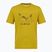 T-shirt da uomo Salewa Eagle Geometric olive oil