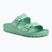 BIRKENSTOCK Arizona EVA Regular infradito in grassetto giada