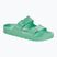 BIRKENSTOCK Arizona EVA Regular infradito in grassetto giada
