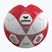 Palla da calcio ERIMA Hybrid Training 2.0 size 5 red/silver