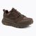 Scarpe da trekking da uomo Jack Wolfskin Terraquest Texapore Low gecko bear