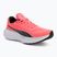 Scarpe da corsa PUMA Scend Pro sunset glow/puma nero