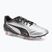 PUMA King Pro FG/AG scarpe da calcio da uomo puma silver/puma nero/sun struck/puma bianco