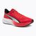 PUMA Pounce Lite scarpe da corsa per tutti i tempi rosso/puma bianco