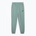 Uomo PUMA ESS No. 1 Logo Sweatpants TR CL verde luna