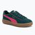 Scarpe PUMA Club Klassika Suede donna mirto scuro/puma rosa