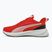PUMA Flyer Lite 3 scarpe da corsa puma nero/per sempre rosso