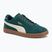 Scarpe PUMA Club II Era Suede Uomo mirto scuro/neve alpina/gum