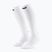 CEP Calze a compressione da donna Run Tall 5.0 bianco