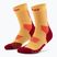 CEP Calzini a compressione da uomo Run Mid Cut 5.0 marigold/bordeaux