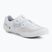 Scarpe da strada da uomo Shimano SH-RC703 white