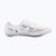 Scarpe da strada da uomo Shimano SH-RC703 white