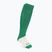 Calze Mizuno Japan green