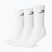 Calze da uomo Boxraw Crew 3 szt. White