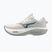 Scarpe da corsa uomo Mizuno Wave Rider 30 foggy dew/dark slate/white